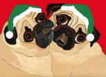 (HA94) - Holiday 2 Fawn Pugs