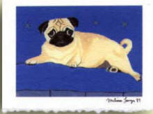 Note Card - Pug Design A11