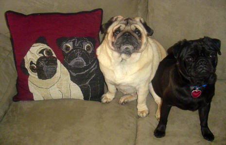 Photo courtesy of Lisa C. & Jamie S., MA