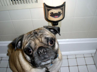 Vito loves his night light (Design A43)