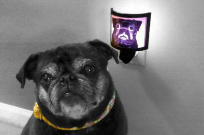 Chloe loves her new night light!