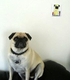 Salinger thinks it looks just like him!