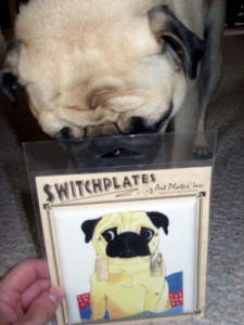 Salinger loves his switchplate!