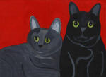 Grey & Black Cats