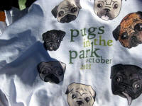 Colorado Pugs In the Park ~ 2011