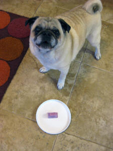Hurray! My Poochie Pop is ready!
