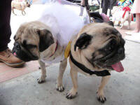Bride and Groom!
