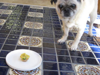 Is this individual sized pie for me?