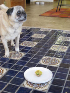 Really?  I can have the whole thing?