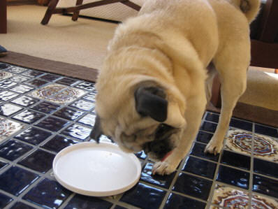 Gulp! Yummy!