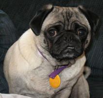 Abby