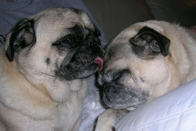 China-Li and Maggie