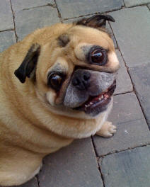 Quincy
