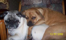 Lucy and Sophie