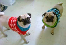 Petey and Piper