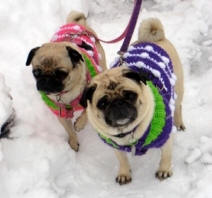 Clara & Phoebe