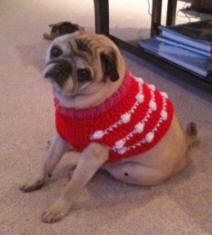 Stubby