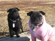 Zoe and Zack