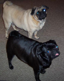 Ashley and Sophie