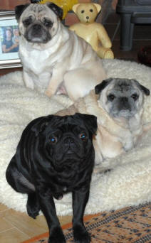 Cecil, Ty & Pip