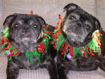 Idgee and Celie