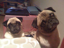 Weeny & Daisy