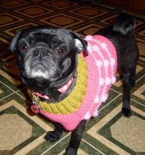 Missy Sue