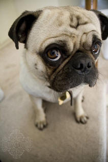 Stanley