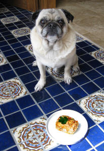 Emmitt is so excited for a taste of meatloaf!