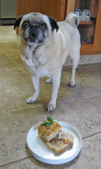 It's Dinner Time!