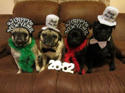 Happy New Year!