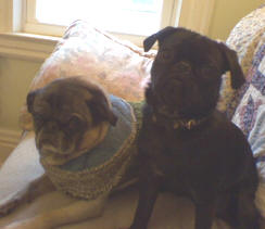 Joey & Sissy