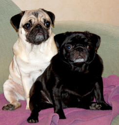 Wilbur & Victoria