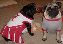 Gus and Sophie