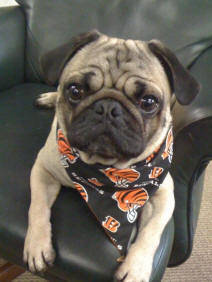 Baxter