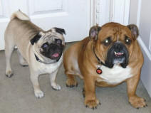 Charlie & Kronk