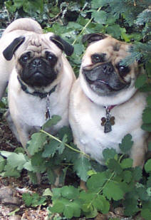 Elliot and Quincy