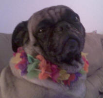 Meatball