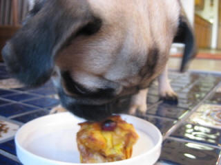 Nom Nom Nom!