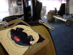 Luggage Flag  - Design A43 - Boston Airport