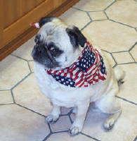July 4th 2004
