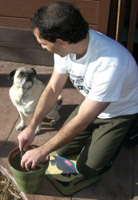 Emmitt and Fred gardening on their cushion.