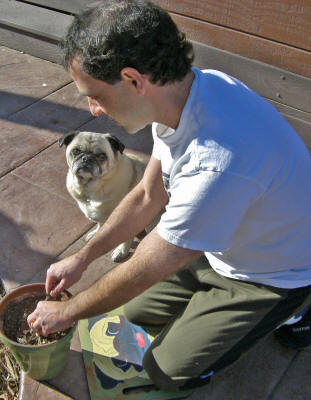 Emmitt and Fred gardening on their cushion.