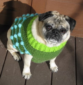 Dog Sweater Vests