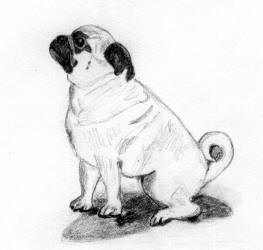 Pencil Pug Design Bw19