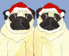 (HA24) -  Holiday 2 Fawn Pugs