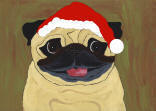 (HA43) Holiday Fawn Pug