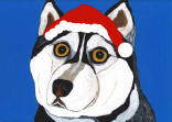 (HHUS) - Holiday Husky