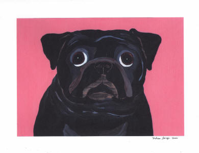 Signed Print - Design Pug A50