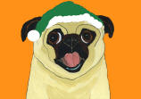 (HA68) - Holiday Panting Fawn Pug